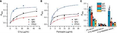 Identification of Neuronal Pentraxins as Synaptic Binding Partners of C1q and the Involvement of NP1 in Synaptic Pruning in Adult Mice